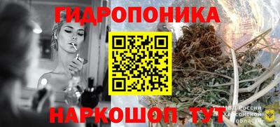 бошки Дубна