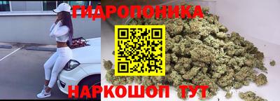 бошки Дубна