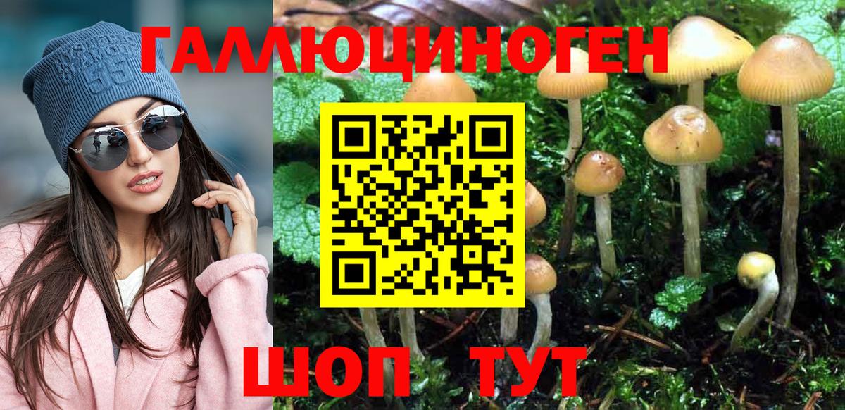 Лосино-Петровский  Псилоцибиновые грибы Psilocybe  Вход с VPN 
