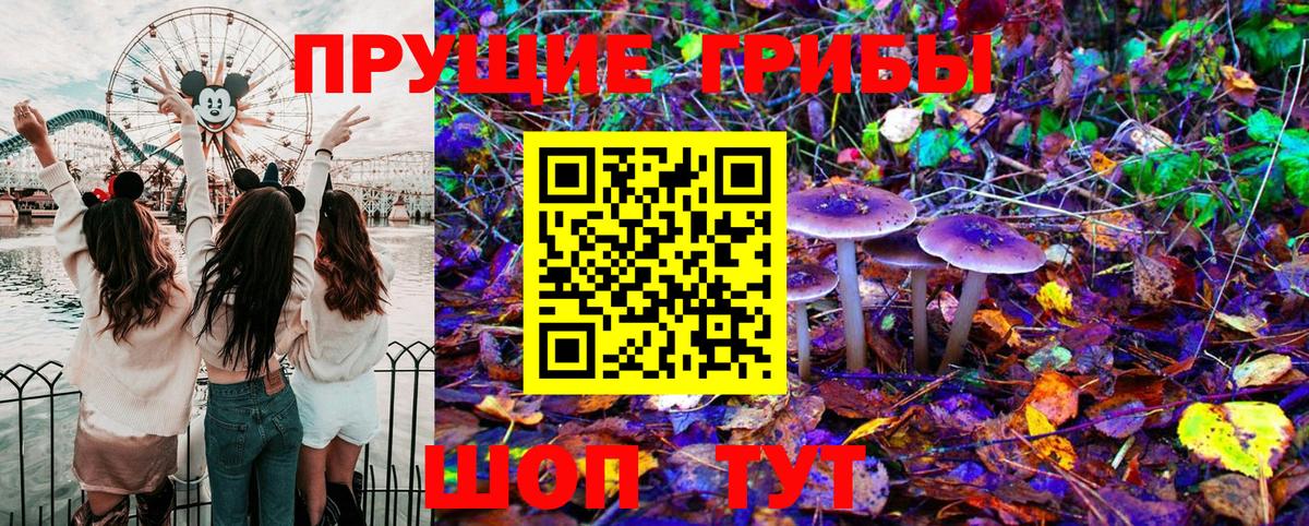 Галлюциногенные грибы Psilocybe Лосино-Петровский